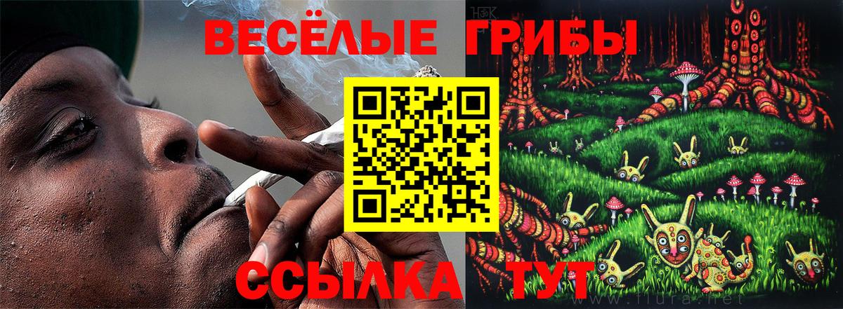 Галлюциногенные грибы прущие грибы  Вход с VPN  Батайск 