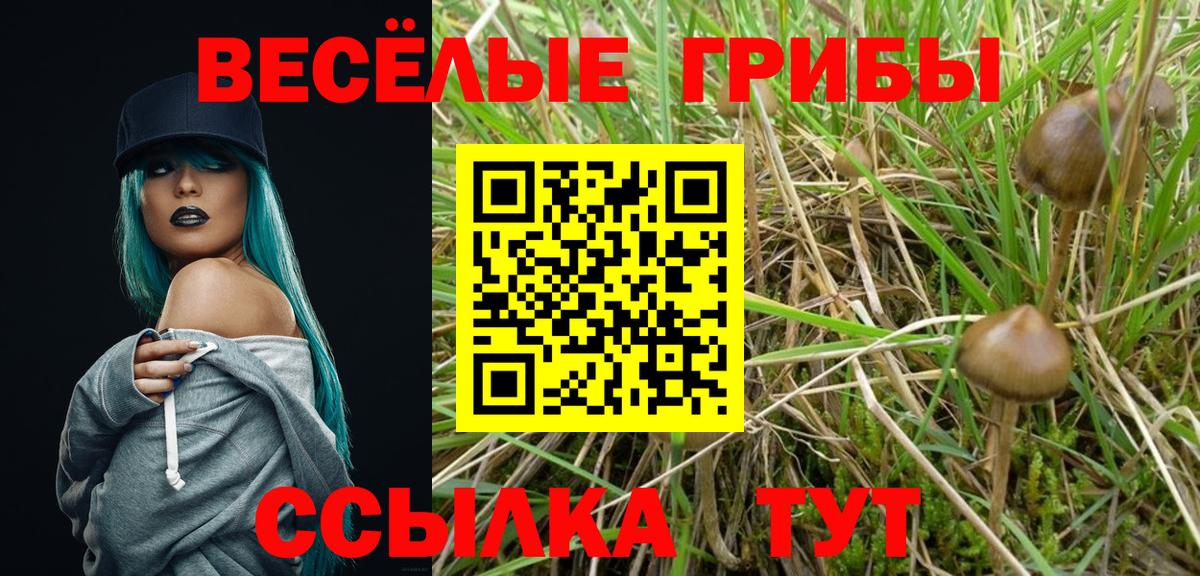 Псилоцибиновые грибы мицелий Батайск
