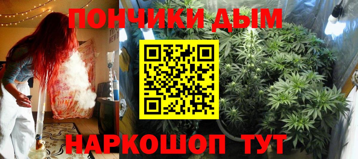Бошки Шишки LSD WEED  Каннабис сатива  Марихуана планчик  Батайск  Вход с VPN 